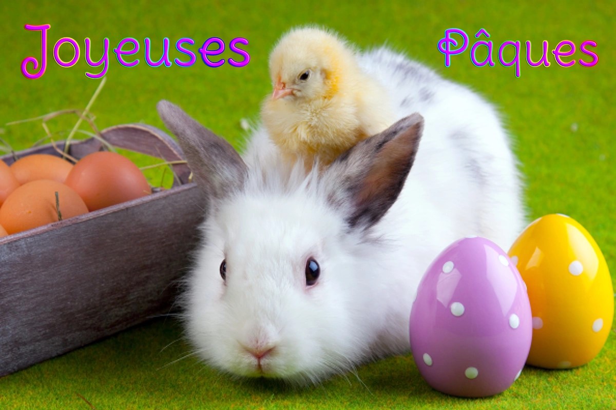 JOYEUSES FETES DE PAQUES 2022